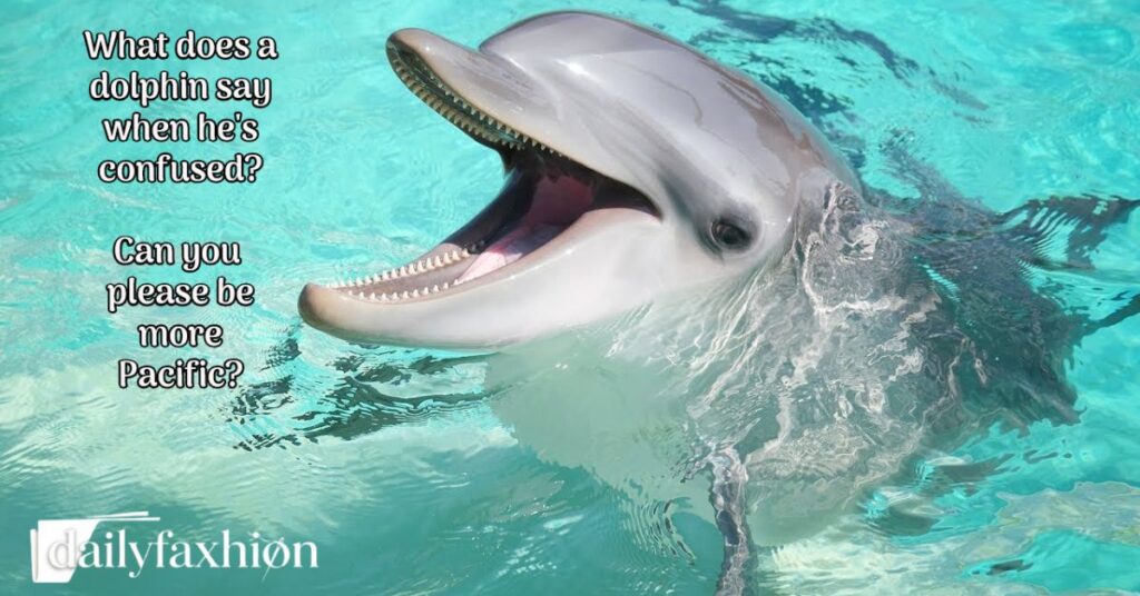 Dolphin Jokes 