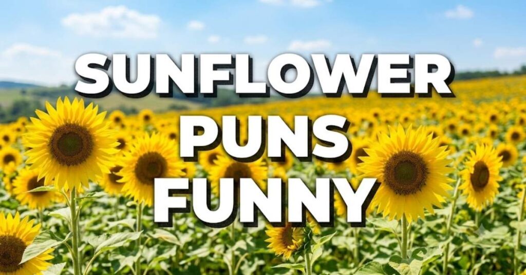 Sunflower Puns Funny