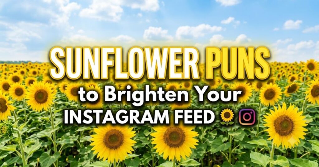 Sunflower Puns to Brighten Your Instagram Feed
